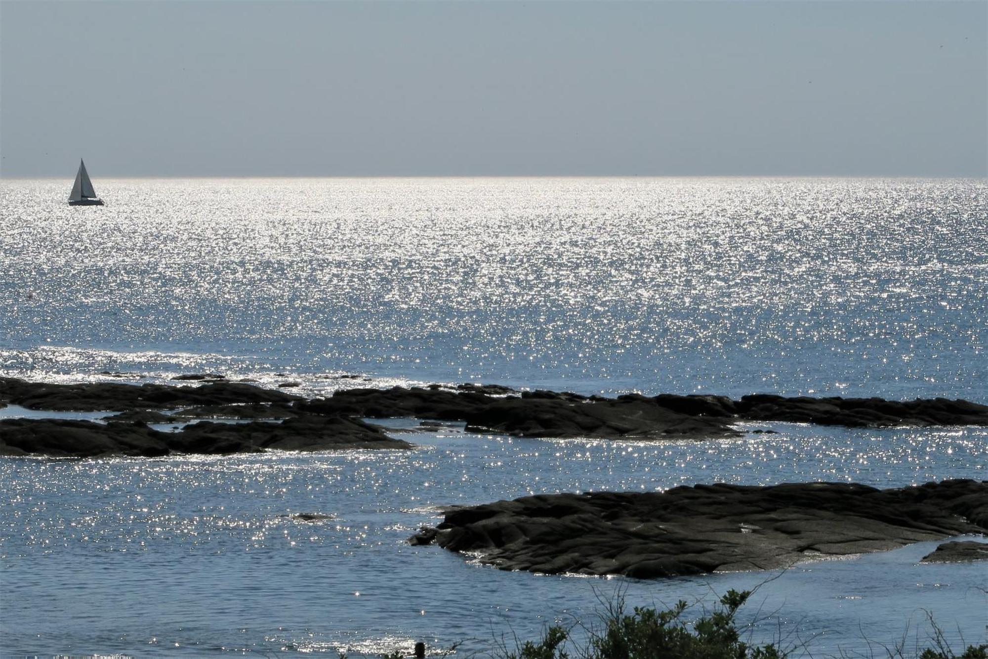 Vitamin Sea La Turballe Εξωτερικό φωτογραφία
